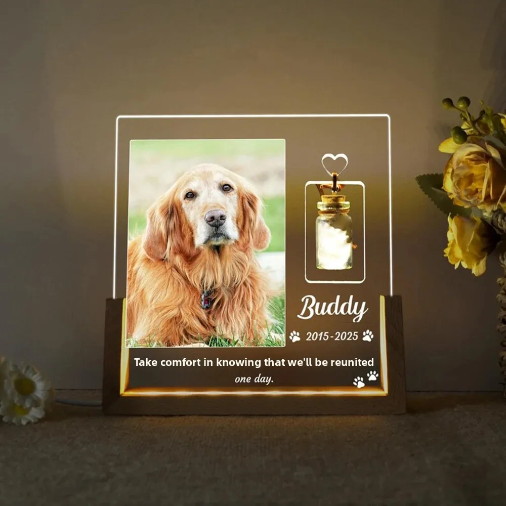 Personalisierte Haustier-Geden – Lighting Decor Photos Bewertung und Preis